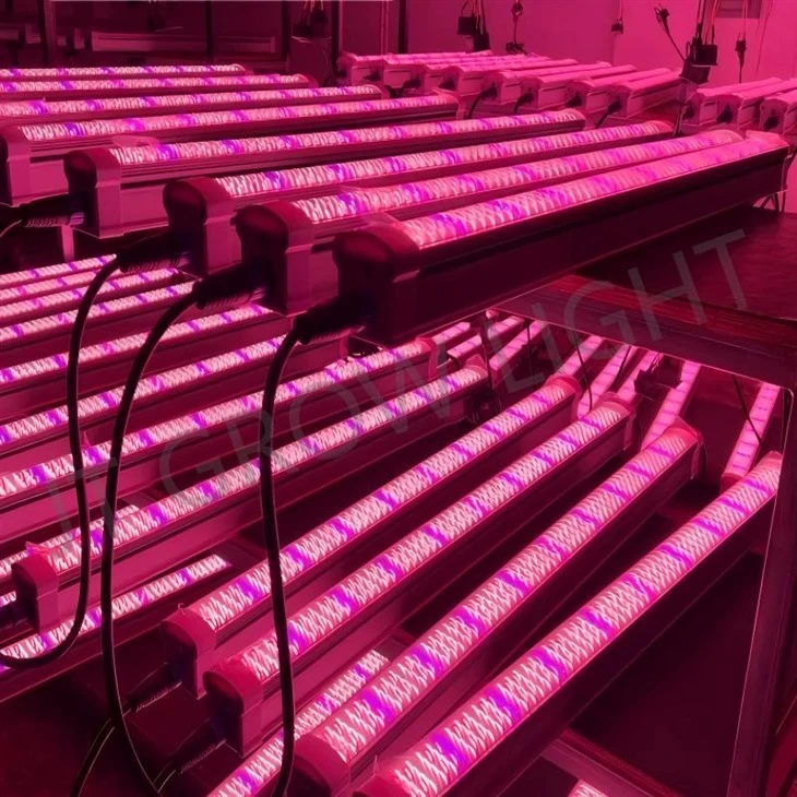 LED under canopy lights